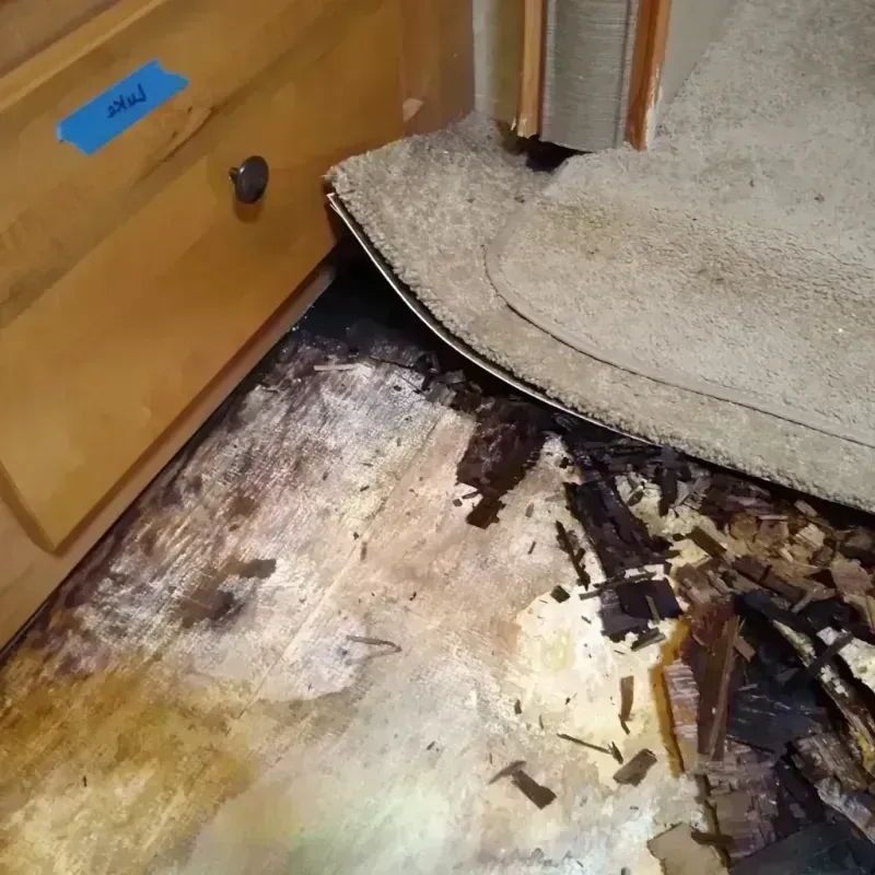 Best Wood Floor Water Damage Service in El Cerro, NM